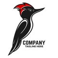 Creative and modern bird woodpecker logo