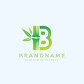 Creative and modern Green Bamboo B Letter logo design template vector eps Royalty Free Stock Photo