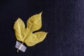 Creative multitasking background with fallen leaf and duct tape on black background Royalty Free Stock Photo