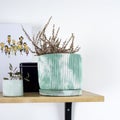 Creative Narural homemade flowerpot in green concrete with dried flowers on a shelf in a cozy home. Wabi sabi, eco green