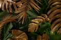 Creative nature background. Gold and green tropical Monstera and palm leaves.