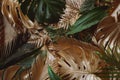 Creative nature background. Gold and green tropical Monstera and palm leaves. Royalty Free Stock Photo