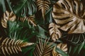 Abstract green leaf texture, nature background, tropical leaf