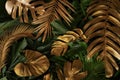 Creative nature background. Gold and green tropical Monstera and palm leaves