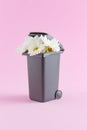 A creative nature concept with white flowers growing from a trash can against a pastel pink background. Minimal spring and nature Royalty Free Stock Photo