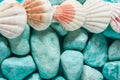 Creative nautical background. Blue stones round white and pink sea shells. Beautiful nature backdrop in pastel colors. Summer Royalty Free Stock Photo