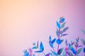 Creative neon background with leaves. Colorful abstract backdrop with vibrant gradients on petals. Exotic nature branch