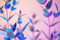 Creative neon background with leaves. Colorful abstract backdrop with vibrant gradients on plants. Exotic floral branch