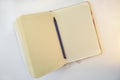 Creative notepad with the blue pen. Top view Royalty Free Stock Photo