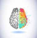 Creative part and logic brain part vector illustration element Royalty Free Stock Photo