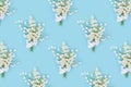 Creative pattern with spring flowers white lilies of the valley on blue. Seasonal floral design