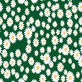 Creative patterned background of daisies