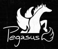 Creative pegasus sign