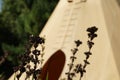 Creative perspective of a wigwam teepee tent with plant stems in focus in the foreground