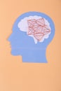 Creative photo. Blue paper man head silhoutte with copper wire diamonds in brain area. Top view, flat lay, vertical photo