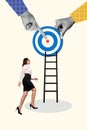 Creative photo collage poster advert get career growing progress business manager lady walk ladder successful target