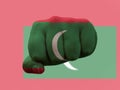 Creative photo of a hand with the national flag of Maldives