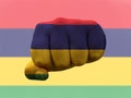 Creative photo of a hand with the national flag of Mauritius
