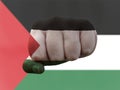 Creative photo of a hand with the national flag of Palestine