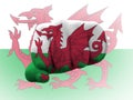 Creative photo of a hand with the national flag of Wales