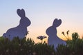 Creative photo of two silhouette paper rabbits in the chamomile flowers and green grass on the sunset sky background Royalty Free Stock Photo