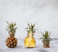 Creative pineapple layout. light gray background