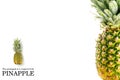 Creative Pineapple layout with sample text. Pineapple on white background. Tropical fruits concept