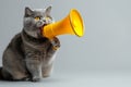 A Creative And Playful Grey Cat Uses A Yellow Loudspeaker As A Megaphone