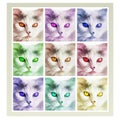Creative portrait of a cat, a collage of images in different colors.