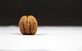 Creative poster Walnut in shell closeup gray background with copy space. Nut Macro concept Royalty Free Stock Photo