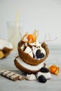 Creative presentation of ice cream in coconut shell, decorated with mulberry and physalis berries Royalty Free Stock Photo