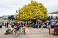 Creative Queenstown Arts and Crafts Markets which is located at the lake front at Earnslaw Park in Queenstown.