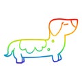 A creative rainbow gradient line drawing cartoon sausage dog