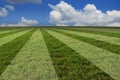 Creative real photo of soccer football grass field