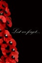 Creative Remembrance Day Poppy Scene Royalty Free Stock Photo