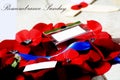 Remembrance Day poppy scene Royalty Free Stock Photo