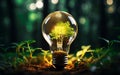 Tree Growing in a Light Bulb Held by Hand for Eco Innovation Royalty Free Stock Photo