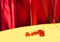 Creative retro layout made of yellow background with red currant and magenta velvet texture in the back