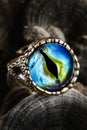 Creative ring with dragon eye on nature background Royalty Free Stock Photo