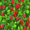 Creative seamless background of raspberry berries
