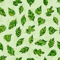 Creative Seamless Pattern of Fresh Leaves on Light Green Royalty Free Stock Photo