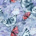 Creative seamless watercolor pattern of plants, Herbs, flowers, poppy, Butterfly. Immortelle plant, tansy, wild herbs. Abstract pa