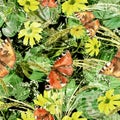 Creative seamless watercolor pattern of plants, Herbs, flowers, poppy, Butterfly. Immortelle plant, tansy, wild herbs. Abstract pa