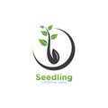 Creative Seed Concept Logo Design Template