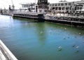 Creative shot of flock of birds majestically soaring under the bridge crossing at the Waterfront in Cape Town.