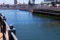 Creative shot of flock of birds majestically soaring under the bridge crossing at the Waterfront.