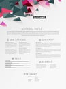 Creative simple cv template with triangle shapes in header.