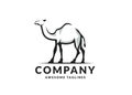 Vector of Camel logo design Royalty Free Stock Photo