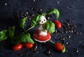 creative snowman canapes of mozzarella, tomatoes on a background of poinsettia