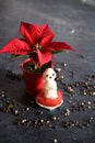 creative snowman canapes of mozzarella, tomatoes on a background of poinsettia